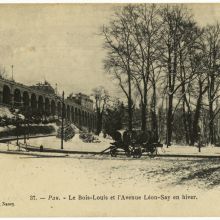 Le Bois-Louis et l'avenue Léon Say